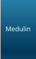 Medulin