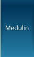 Medulin